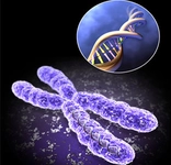 Down Sendromu Belirtileri ve Tedavisi